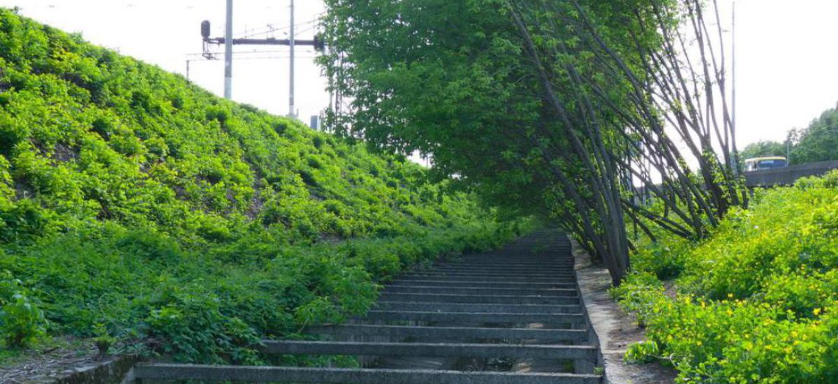 Либідь відходить у вічність...