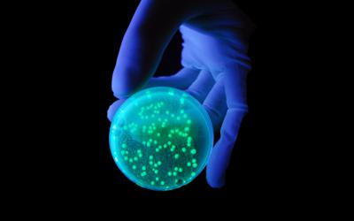 Биологическое действие ультрафиолета