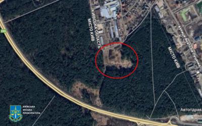 🌲 Ліс, депутат Царенко і 17 років тиші